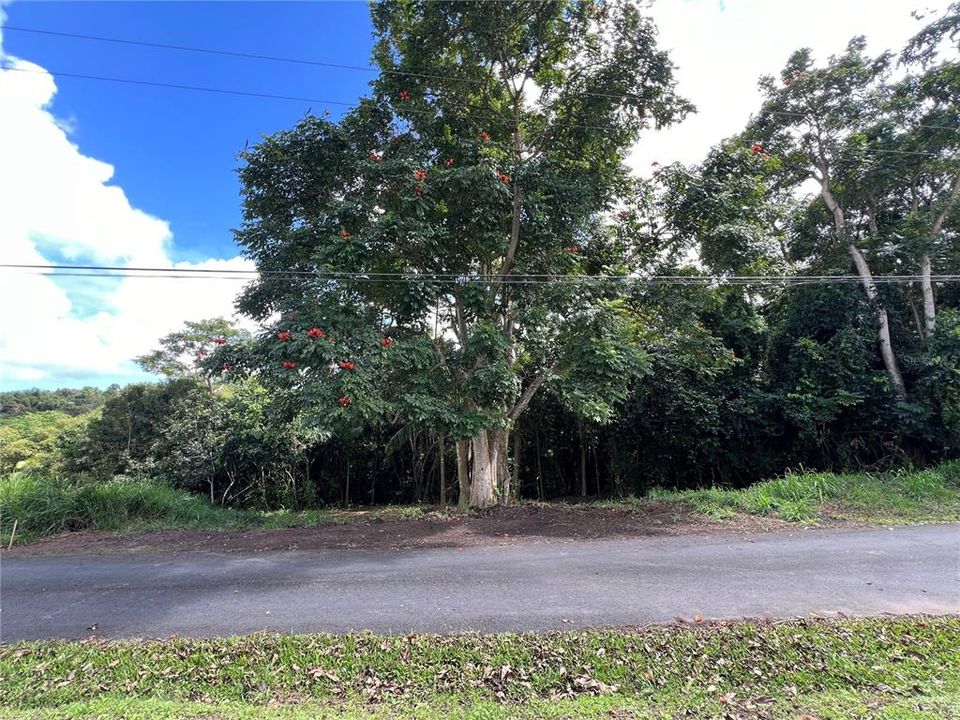 Vendido Recientemente: $38,700 (0.28 acres)