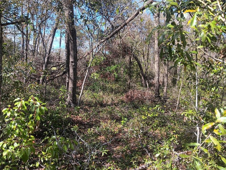 For Sale: $16,500 (0.46 acres)