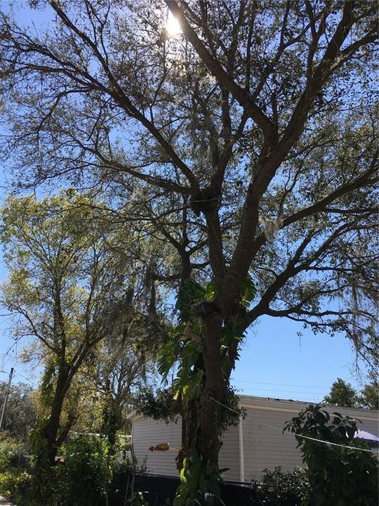 En Venta: $410,000 (5 camas, 3 baños, 2469 Pies cuadrados)