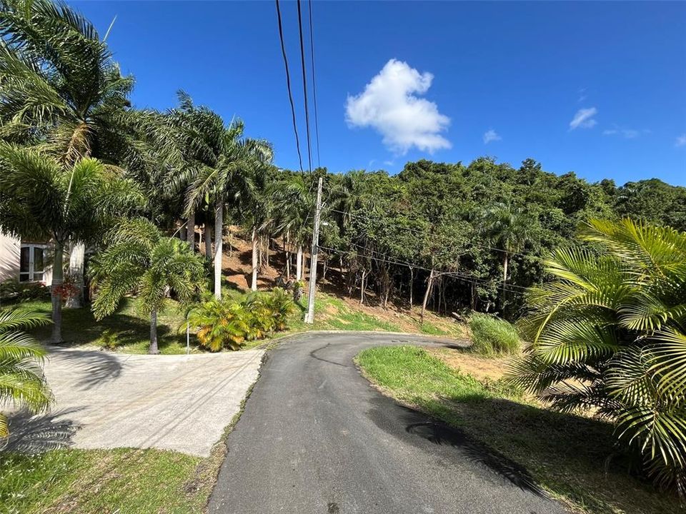 На продажу: $65,000 (0.40 acres)