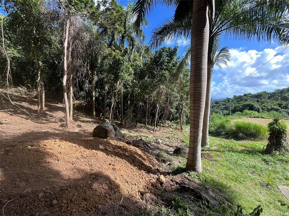 На продажу: $65,000 (0.40 acres)