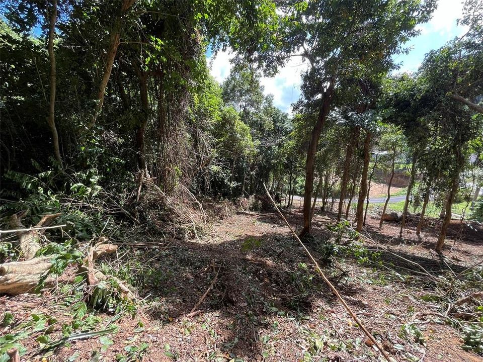 На продажу: $65,000 (0.40 acres)