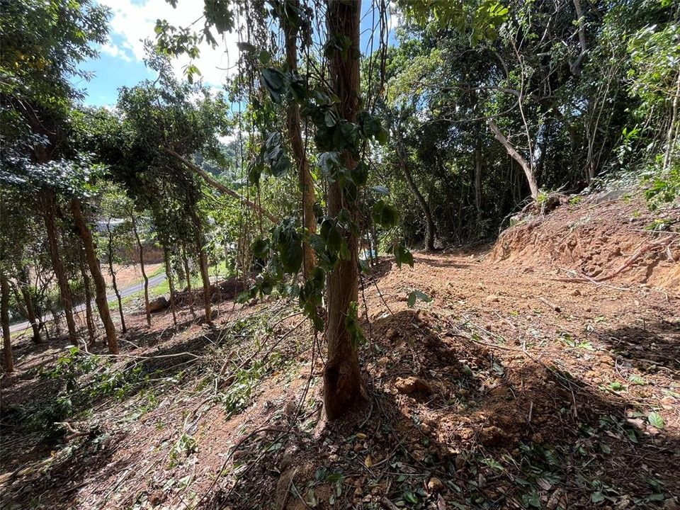 На продажу: $65,000 (0.40 acres)