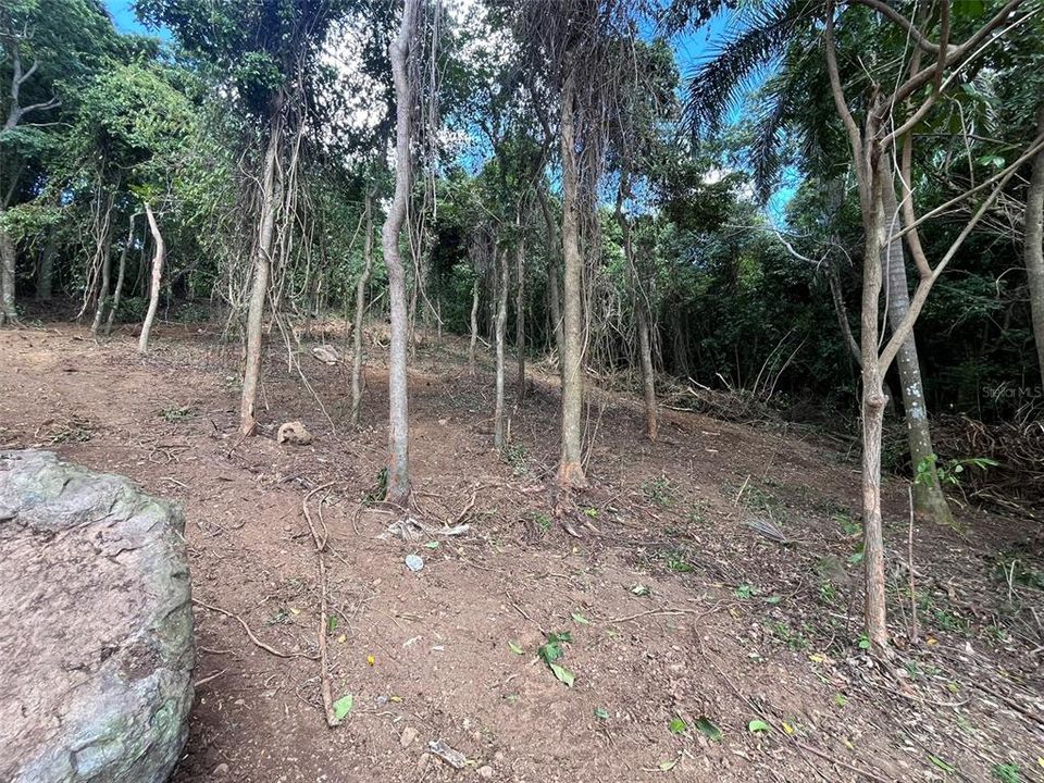 На продажу: $65,000 (0.40 acres)