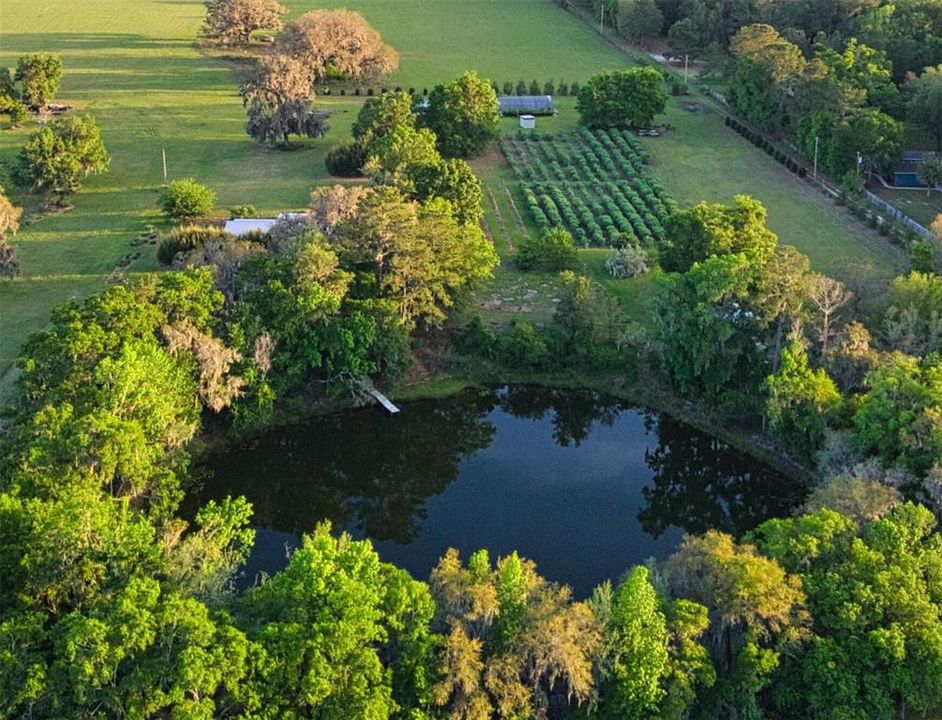 Recently Sold: $425,000 (10.01 acres)