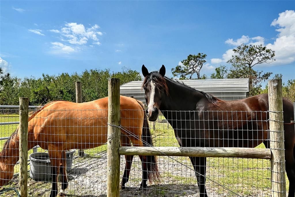 Под контрактом: $1,095,000 (4 спален, 3 ванн, 2789 Квадратных фут)