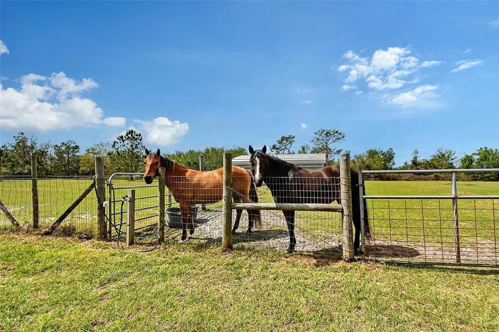 Под контрактом: $1,095,000 (4 спален, 3 ванн, 2789 Квадратных фут)