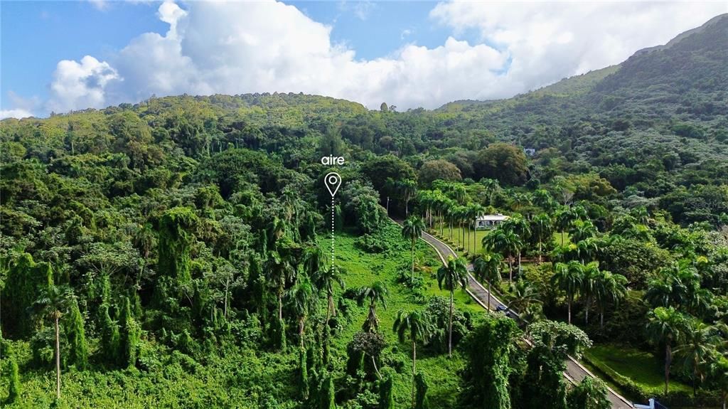 На продажу: $550,000 (12.54 acres)