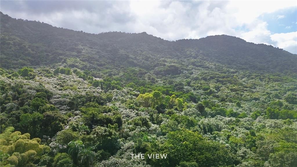 На продажу: $550,000 (12.54 acres)