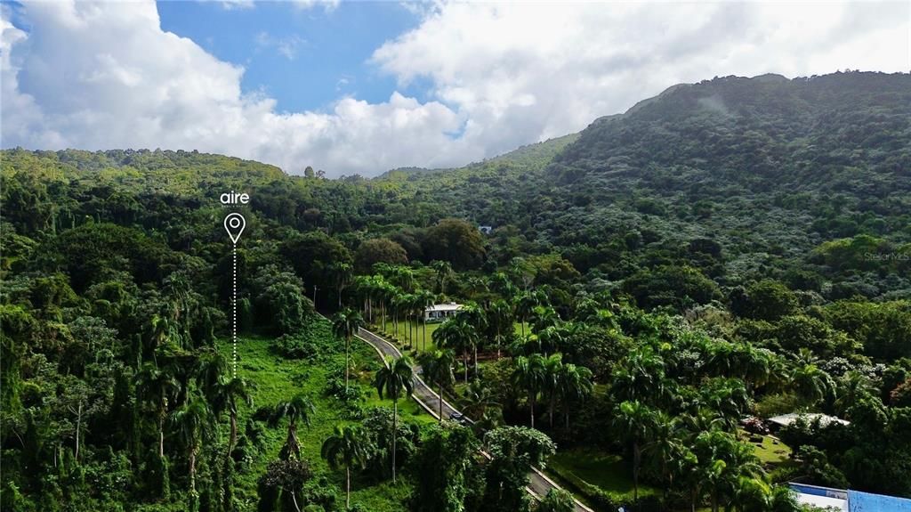 На продажу: $550,000 (12.54 acres)