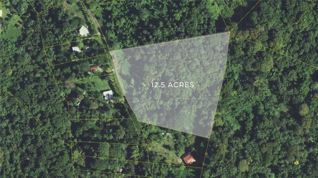 На продажу: $550,000 (12.54 acres)