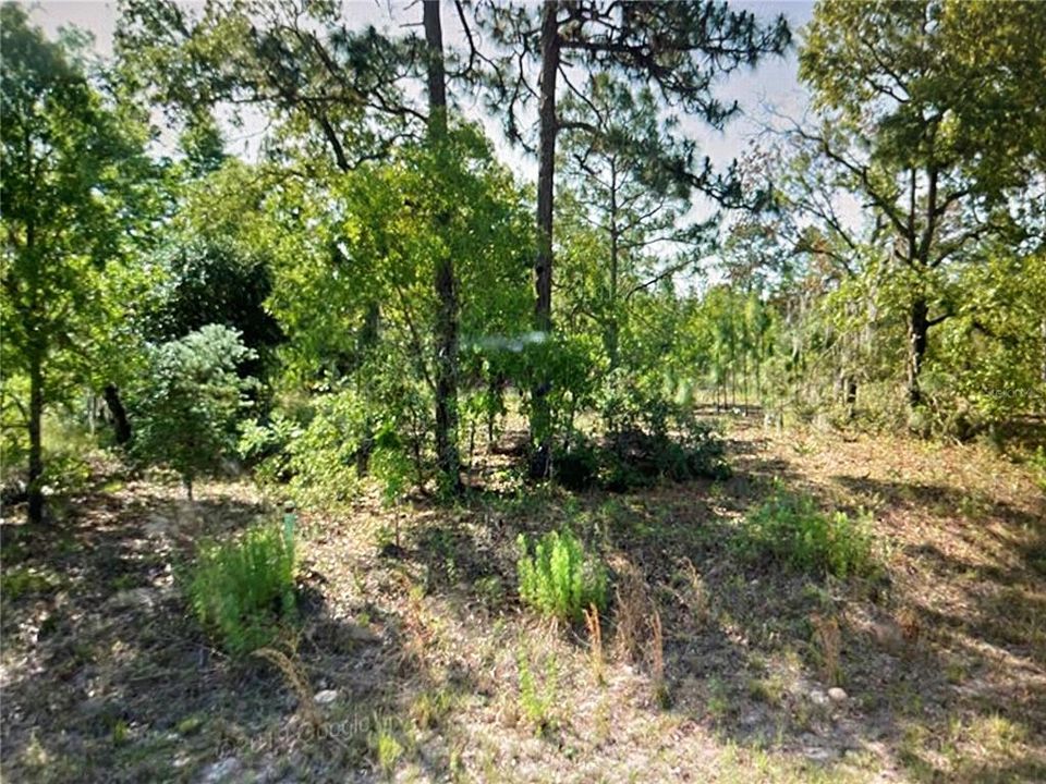 Recently Sold: $22,000 (0.23 acres)