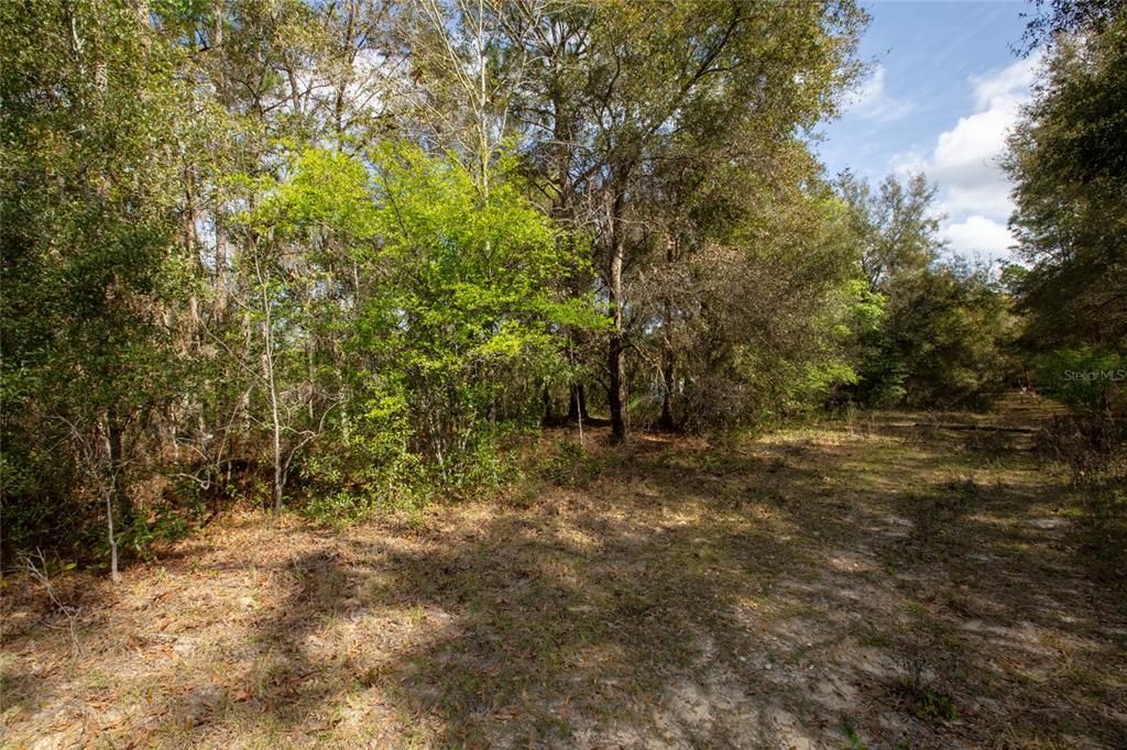 合同活跃: $9,000 (0.38 acres)