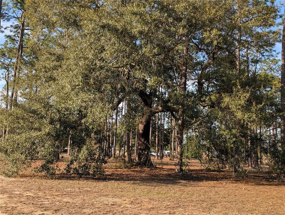 На продажу: $319,777 (4 спален, 3 ванн, 2317 Квадратных фут)