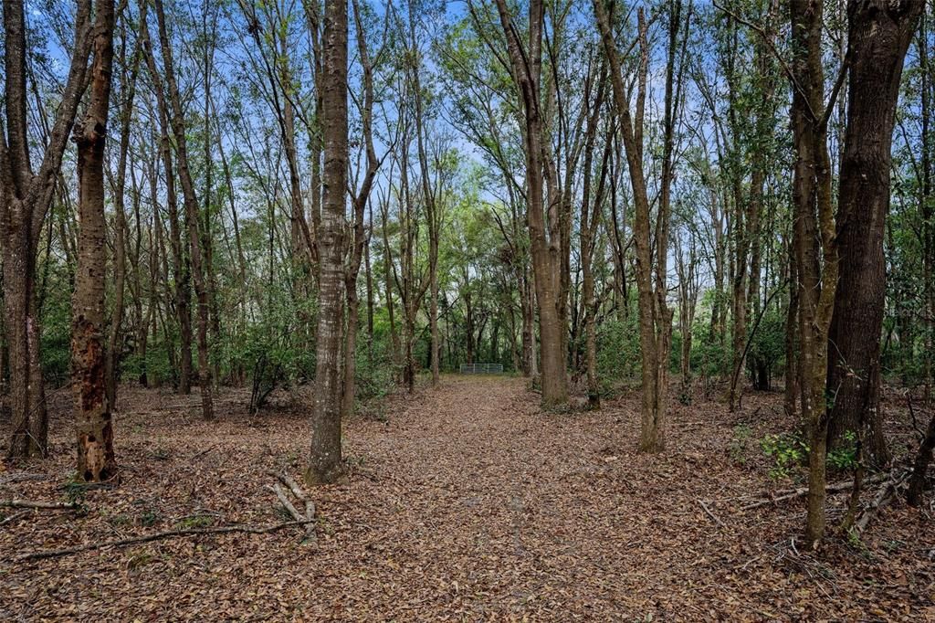 For Sale: $750,000 (14.30 acres)