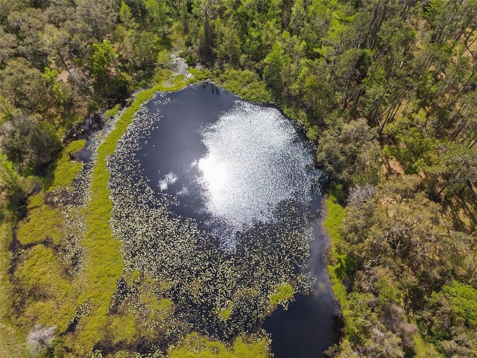 For Sale: $750,000 (14.30 acres)