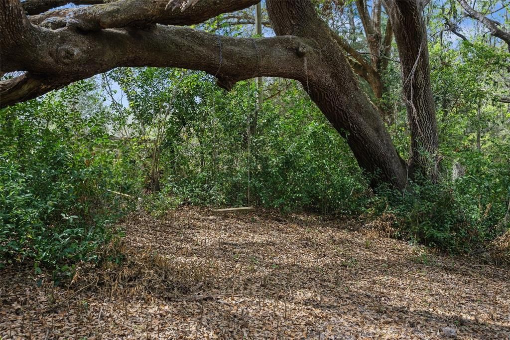 For Sale: $750,000 (14.30 acres)