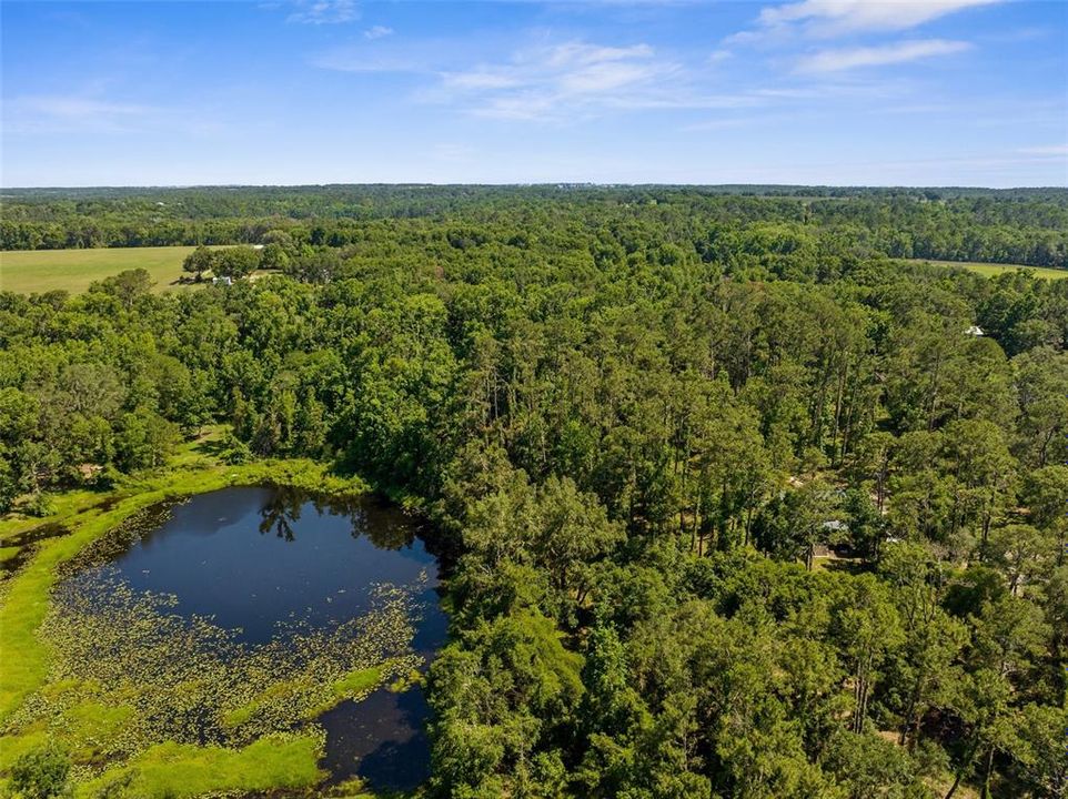 For Sale: $750,000 (14.30 acres)