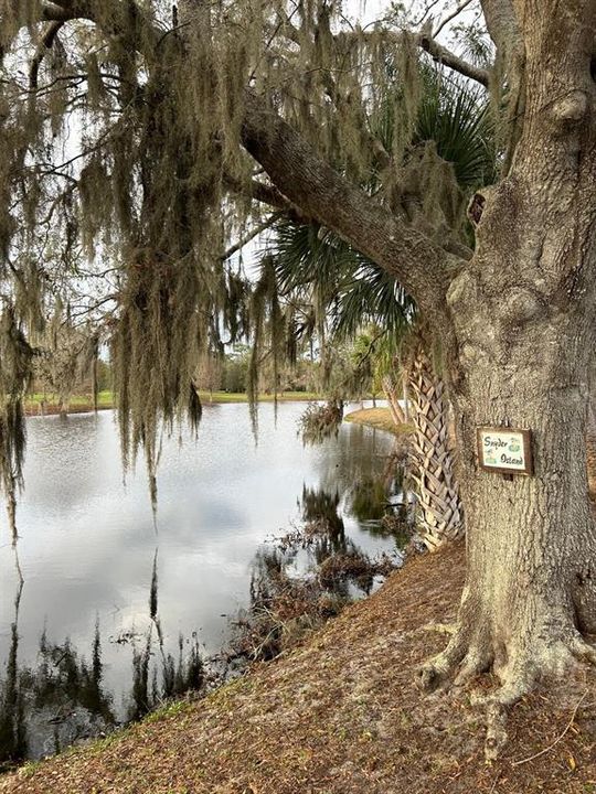 На продажу: $17,900 (0.50 acres)