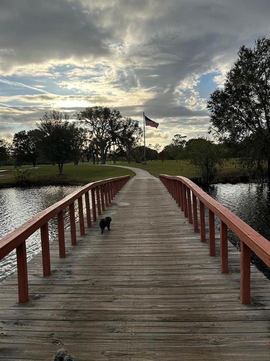 На продажу: $17,900 (0.50 acres)