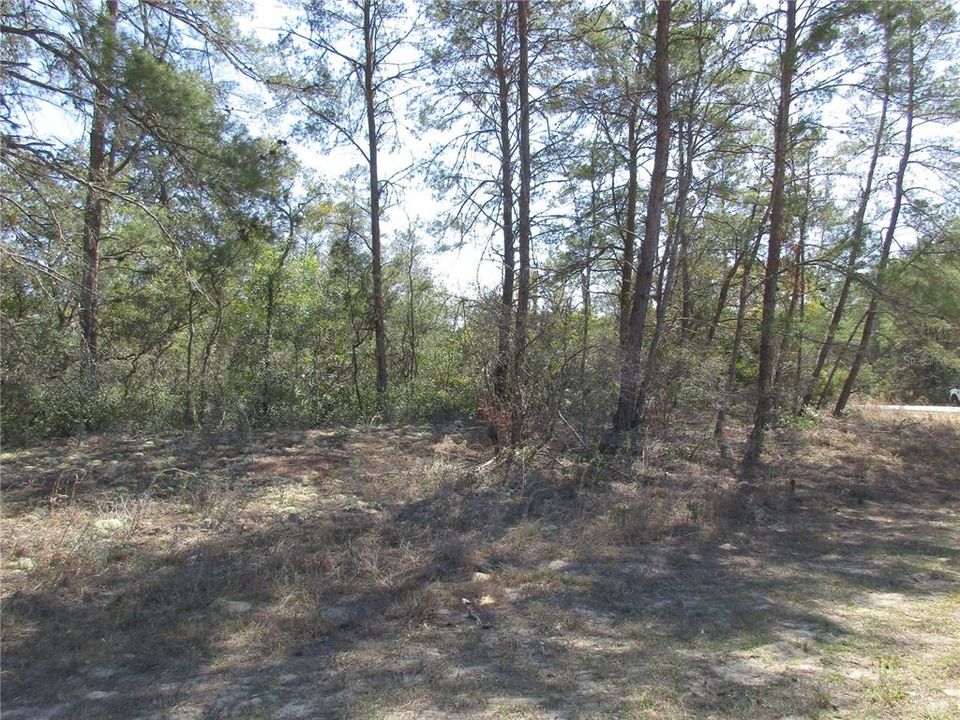 Недавно продано: $56,000 (1.25 acres)