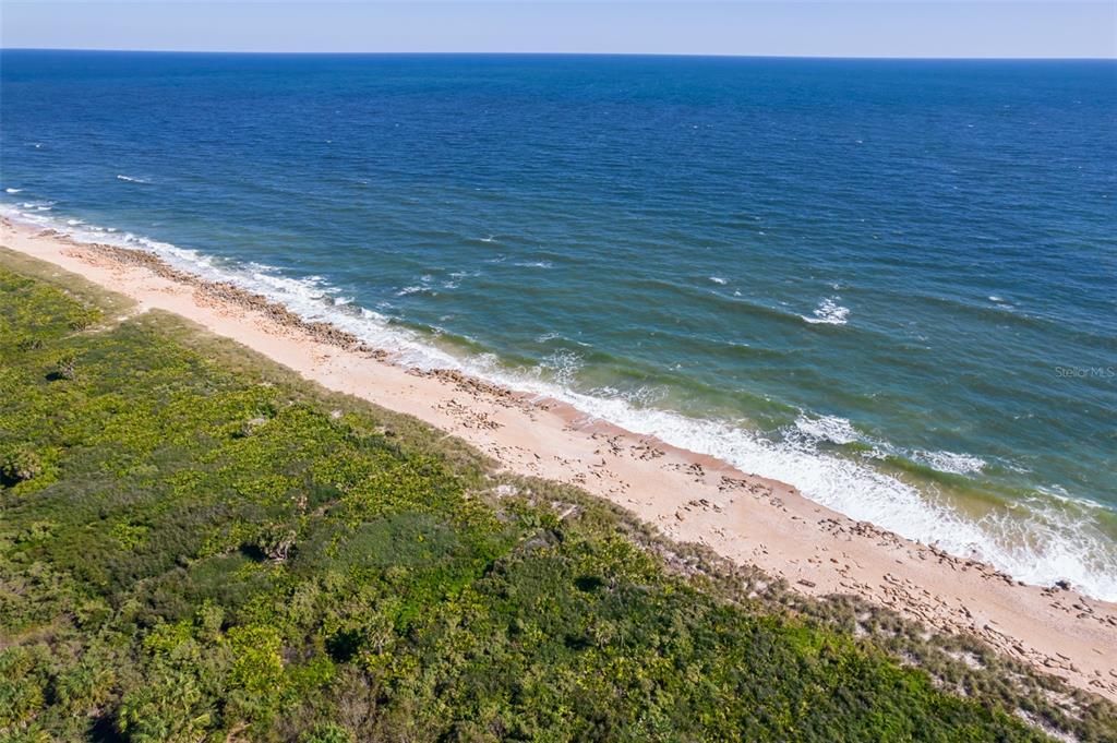 For Sale: $2,199,000 (5 beds, 4 baths, 3412 Square Feet)