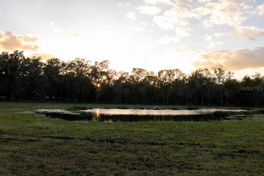 待售: $12,750,000 (4 贝兹, 4 浴室, 4142 平方英尺)