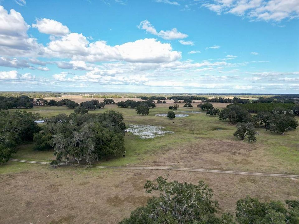 待售: $12,750,000 (4 贝兹, 4 浴室, 4142 平方英尺)