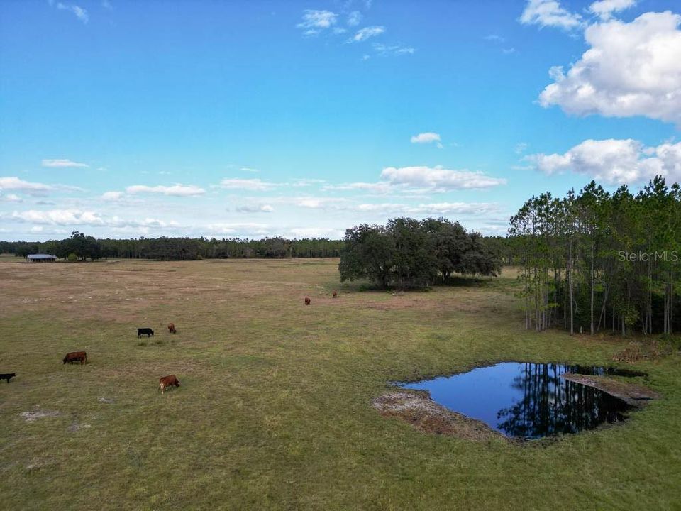 待售: $12,750,000 (4 贝兹, 4 浴室, 4142 平方英尺)