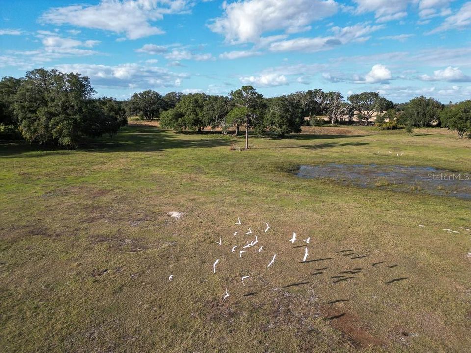 待售: $12,750,000 (4 贝兹, 4 浴室, 4142 平方英尺)