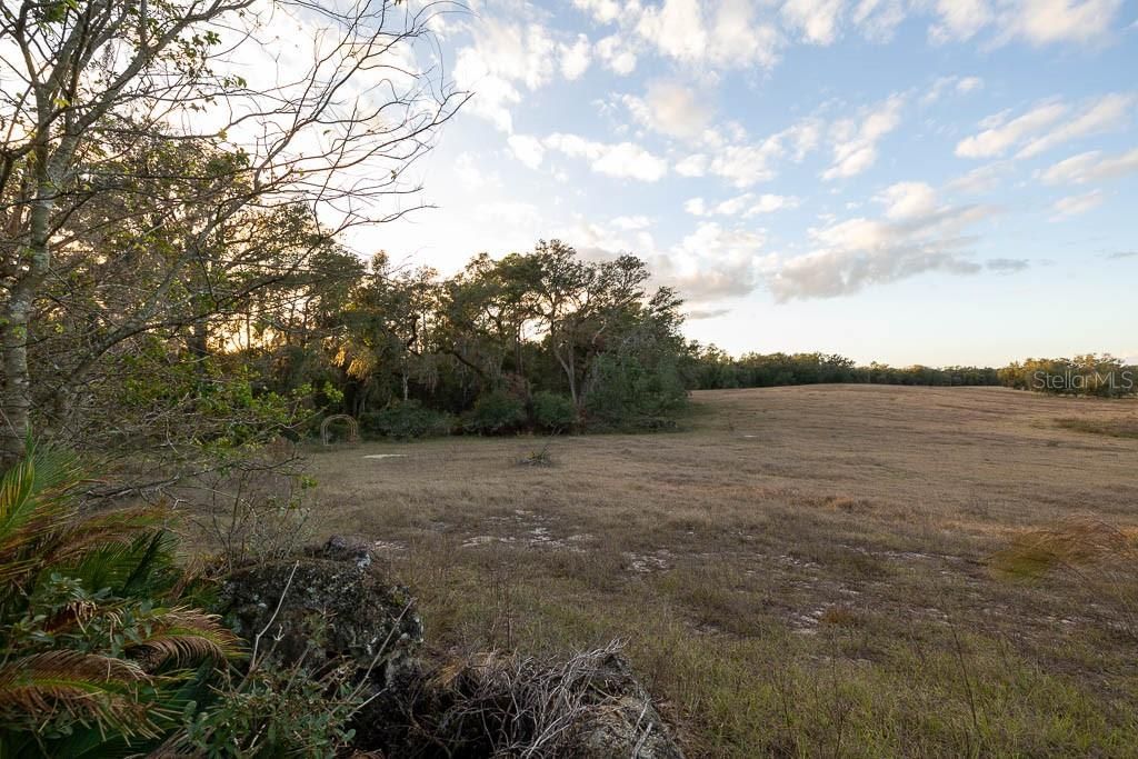 待售: $12,750,000 (4 贝兹, 4 浴室, 4142 平方英尺)