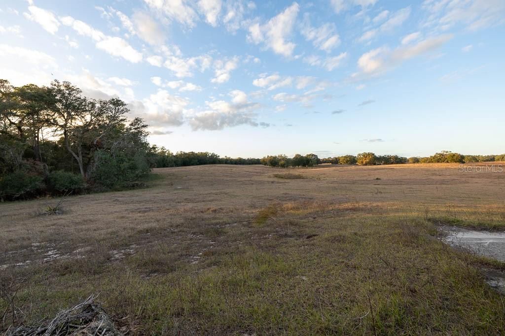 待售: $12,750,000 (4 贝兹, 4 浴室, 4142 平方英尺)