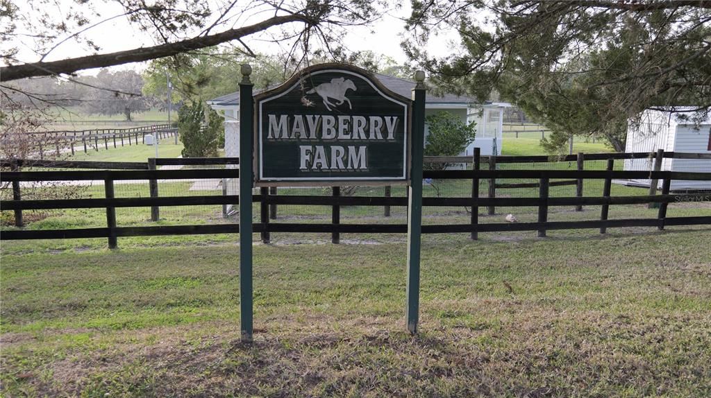 For Sale: $1,499,999 (4 beds, 4 baths, 5239 Square Feet)