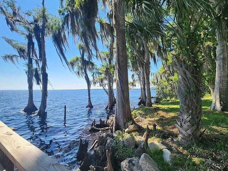 待售: $15,000 (0.23 acres)