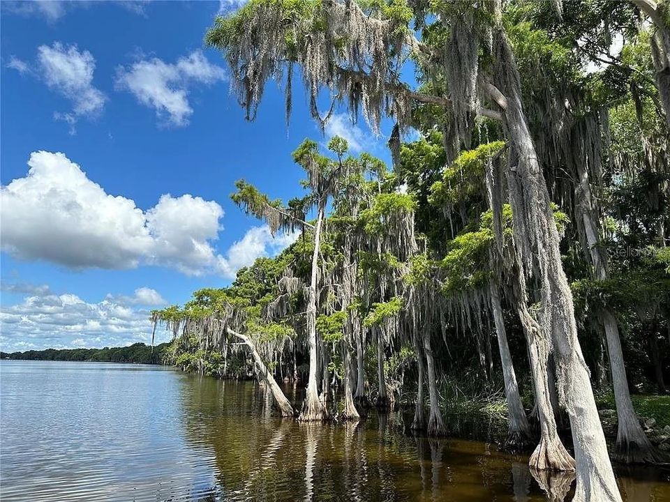 待售: $15,000 (0.23 acres)