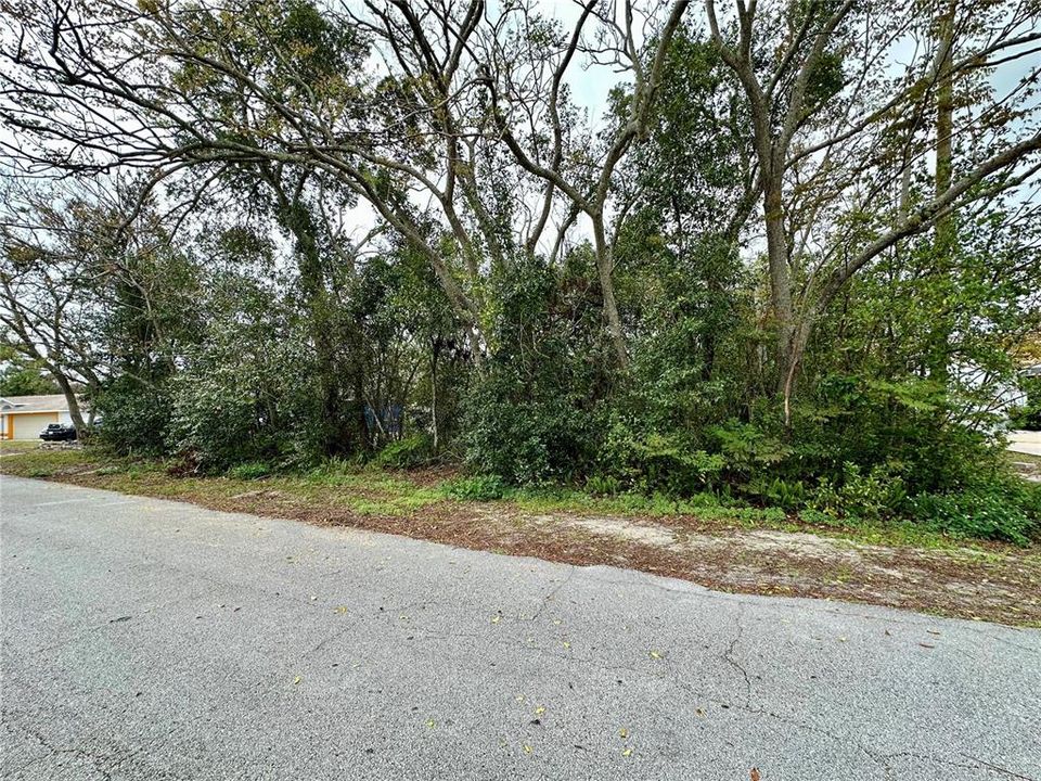 For Sale: $75,000 (0.23 acres)