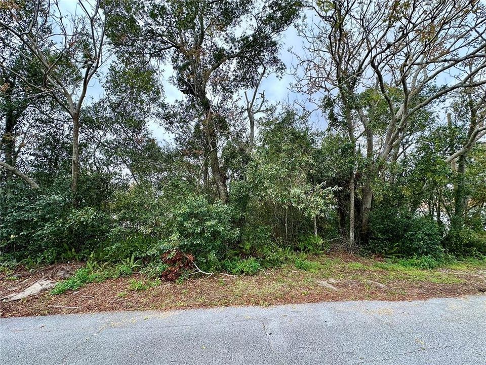 For Sale: $75,000 (0.23 acres)