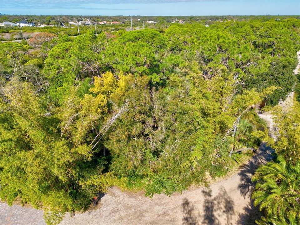 合同活跃: $99,000 (0.52 acres)