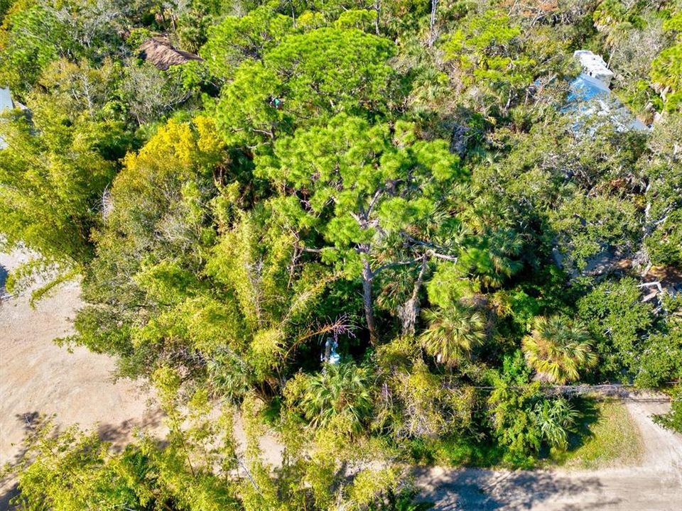 合同活跃: $99,000 (0.52 acres)