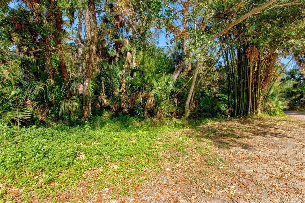 合同活跃: $99,000 (0.52 acres)