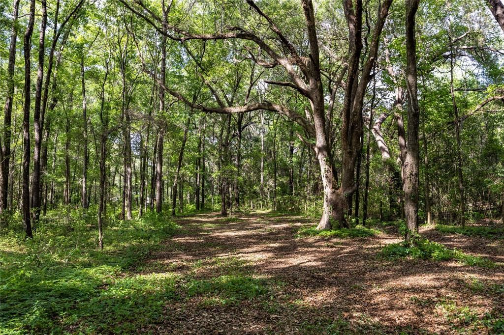 На продажу: $390,000 (4.01 acres)