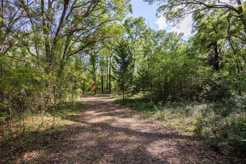 На продажу: $390,000 (4.01 acres)