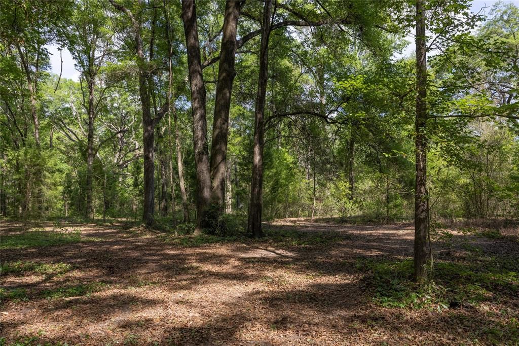 На продажу: $390,000 (4.01 acres)