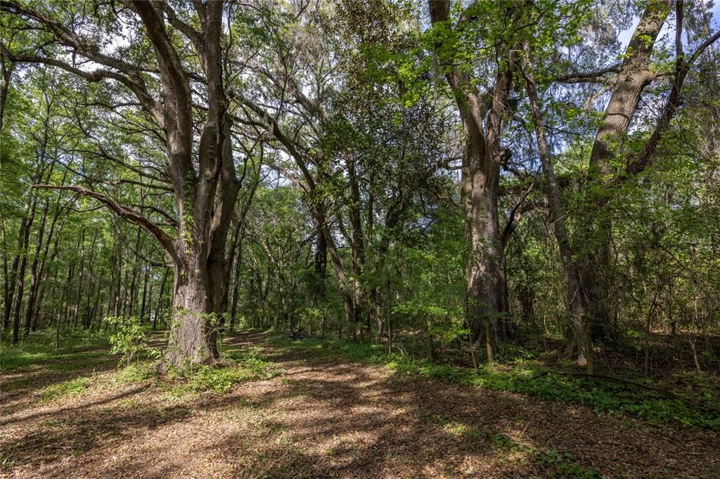 На продажу: $390,000 (4.01 acres)