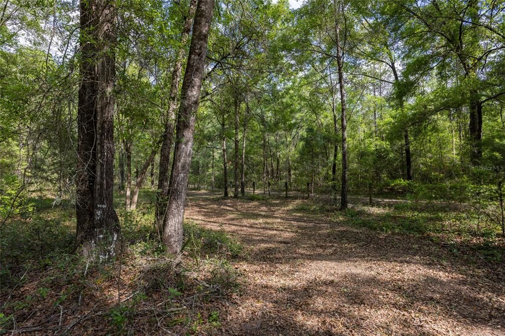 На продажу: $390,000 (4.01 acres)