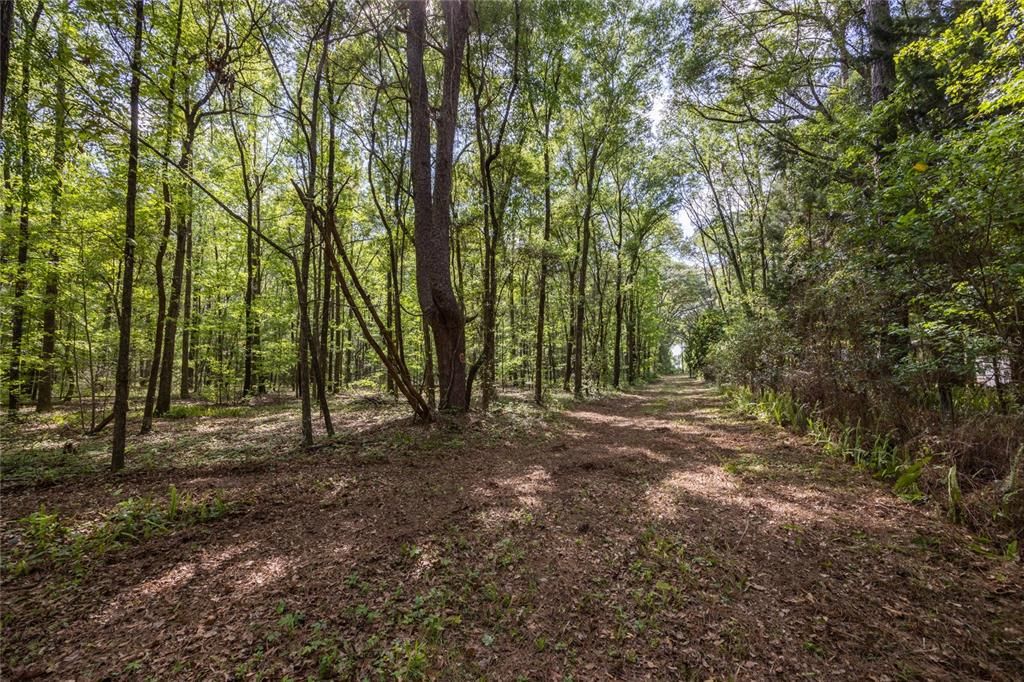 На продажу: $390,000 (4.01 acres)