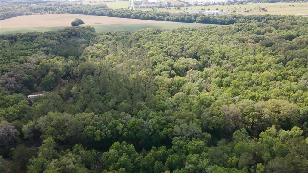 На продажу: $390,000 (4.01 acres)