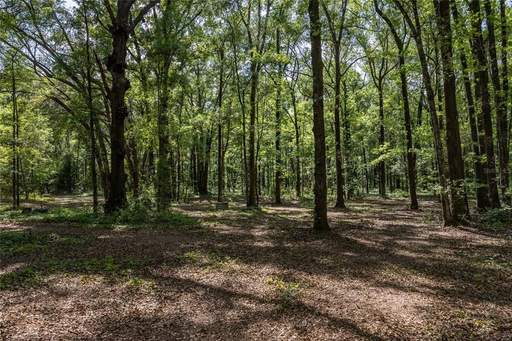 На продажу: $390,000 (4.01 acres)