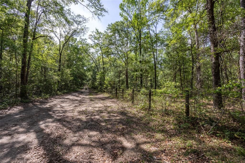 На продажу: $390,000 (4.01 acres)