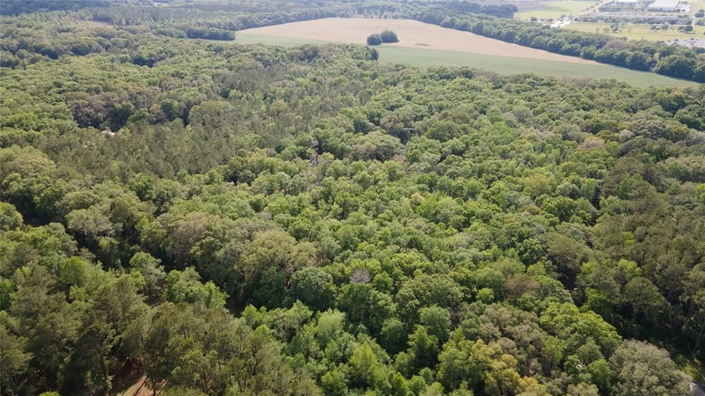 На продажу: $390,000 (4.01 acres)